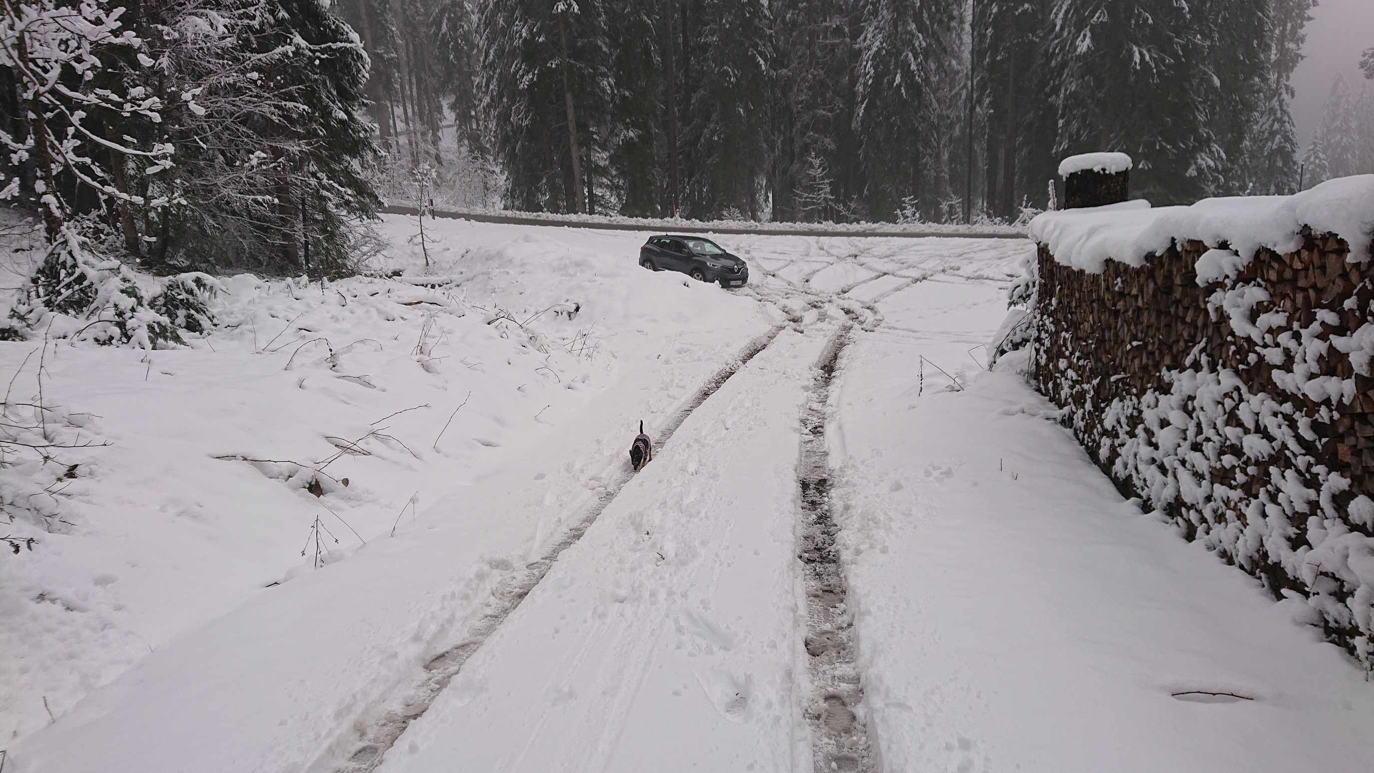 Schnee Offroad Fun Tag :-) Andere müssen auf geräumte Parkplätze ausweichen, Ich parke dort wo einfach ein Platz frei ist :-)