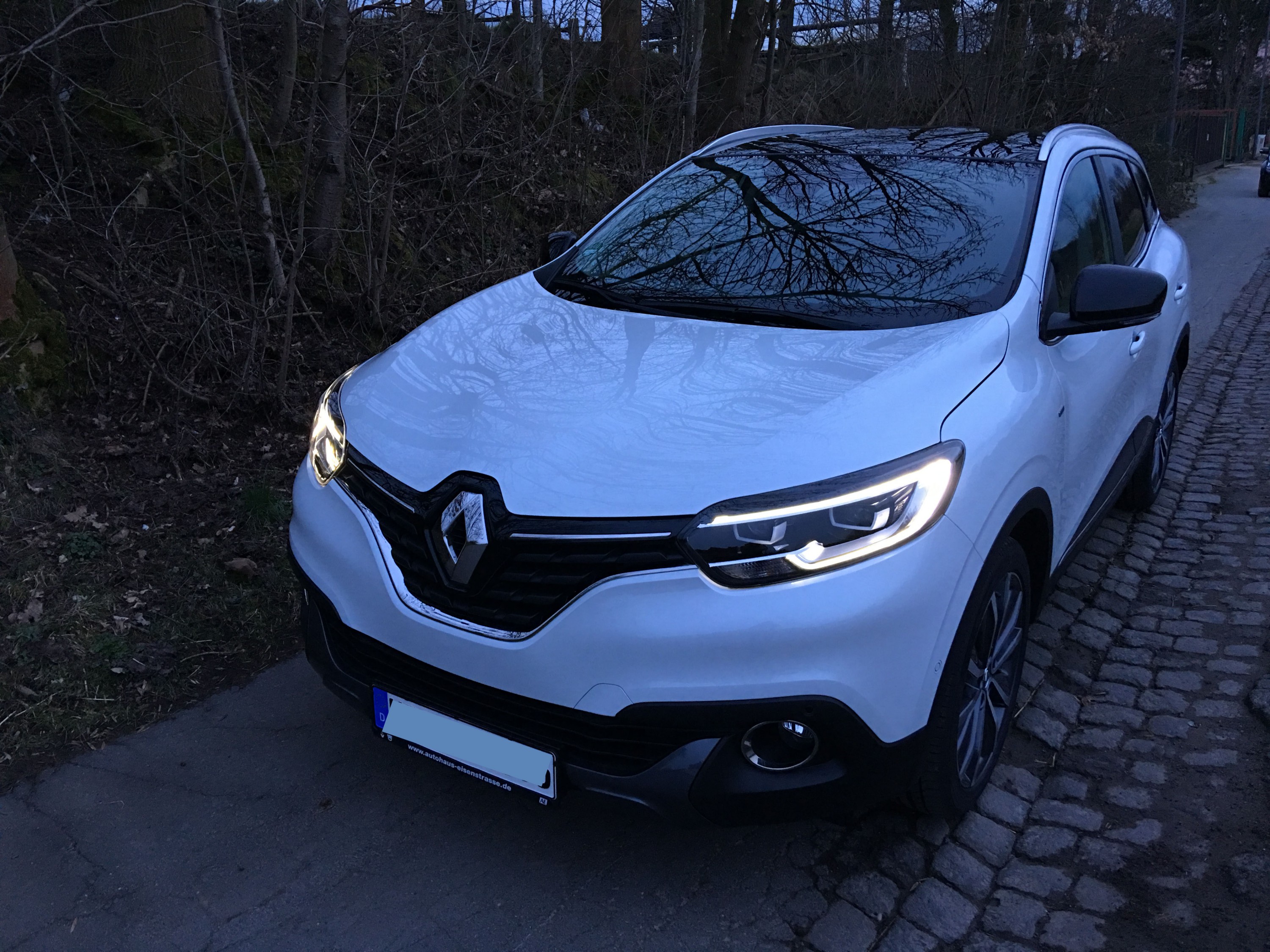 Renault Kadjar (Perl w/ bose)